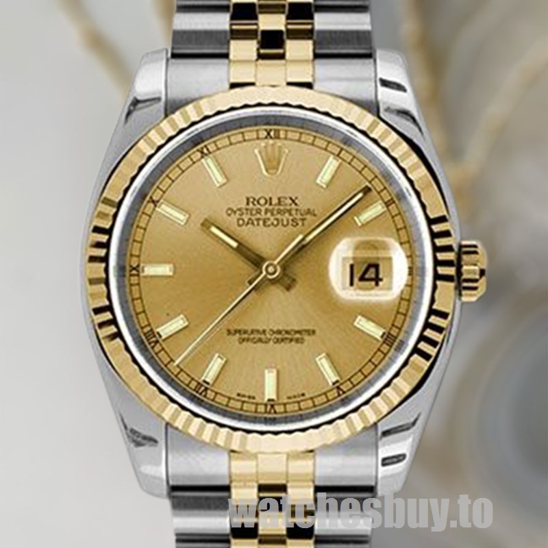 116233-CSJ.jpg